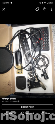 Bm800 microphone